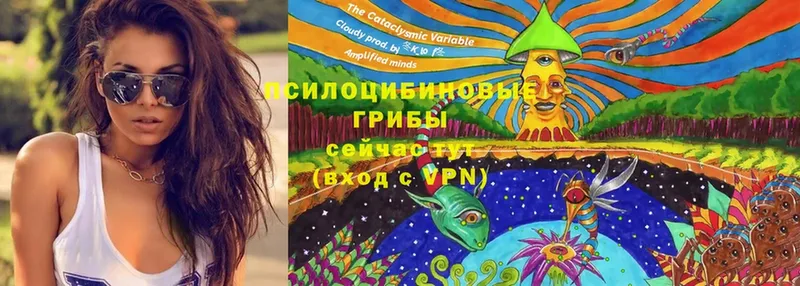 где найти   маркетплейс формула  Галлюциногенные грибы MAGIC MUSHROOMS  Магадан 